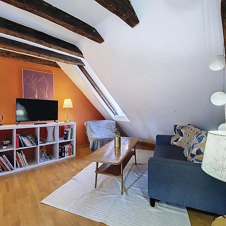 Tonneau - Hypercentre - Cathedrale - Authentique - Duplex Apartment Strasbourg Luaran gambar